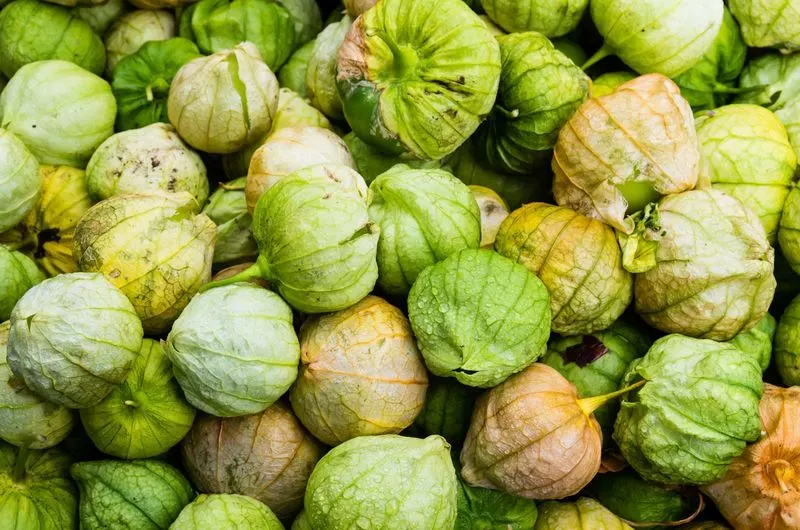 Tomatillo