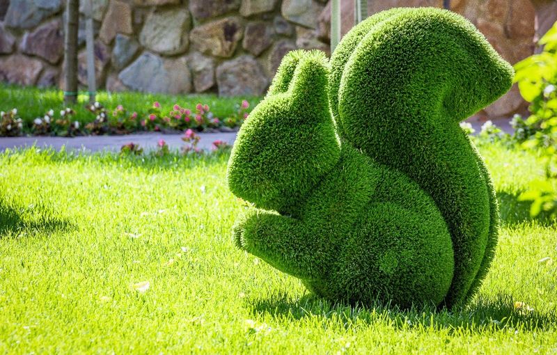 Topiary Art