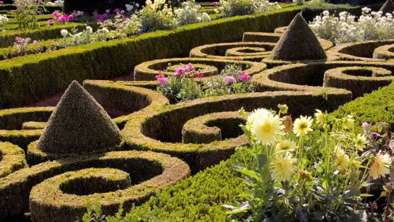 Topiary Maze