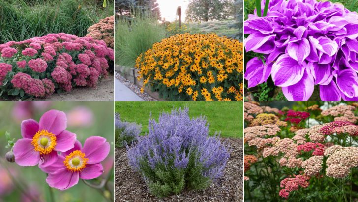 19 Tough as Nails Perennials That’ll Thrive in the Worst Conditions