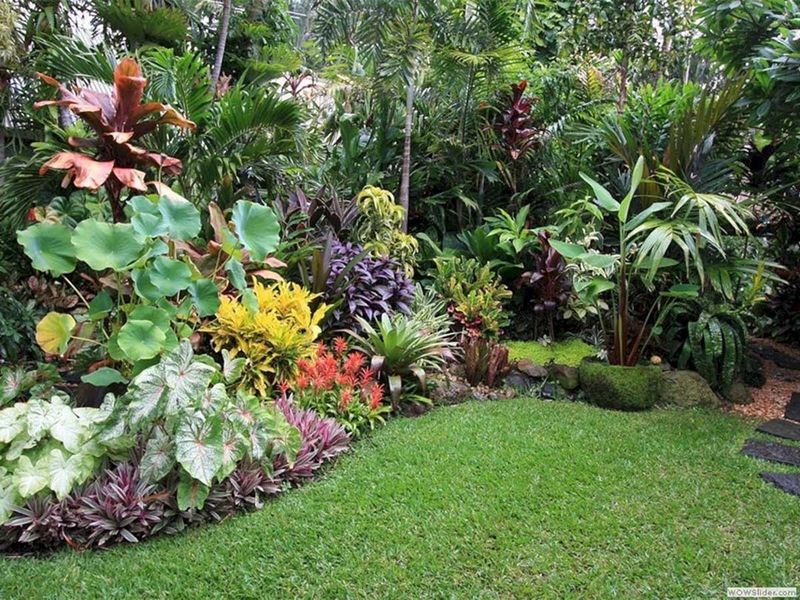 Tropical Garden