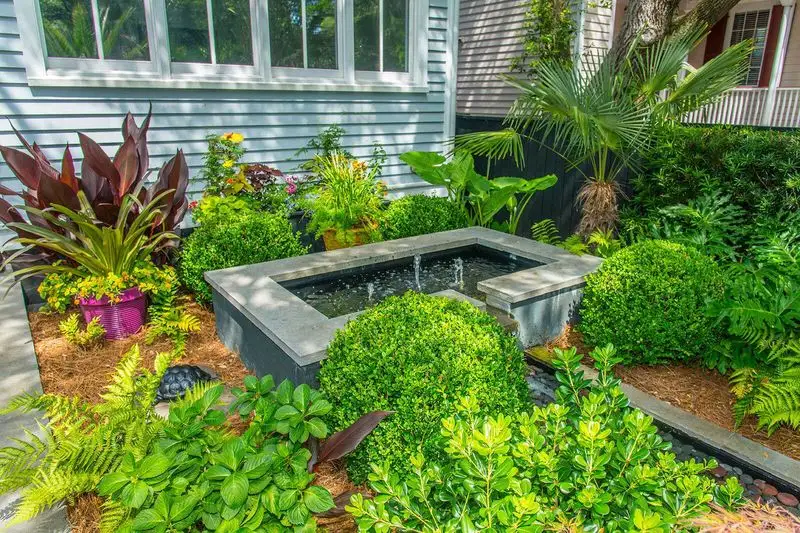 Tropical Oasis