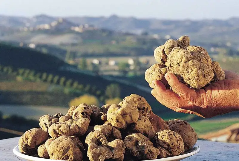 Truffles from Italy