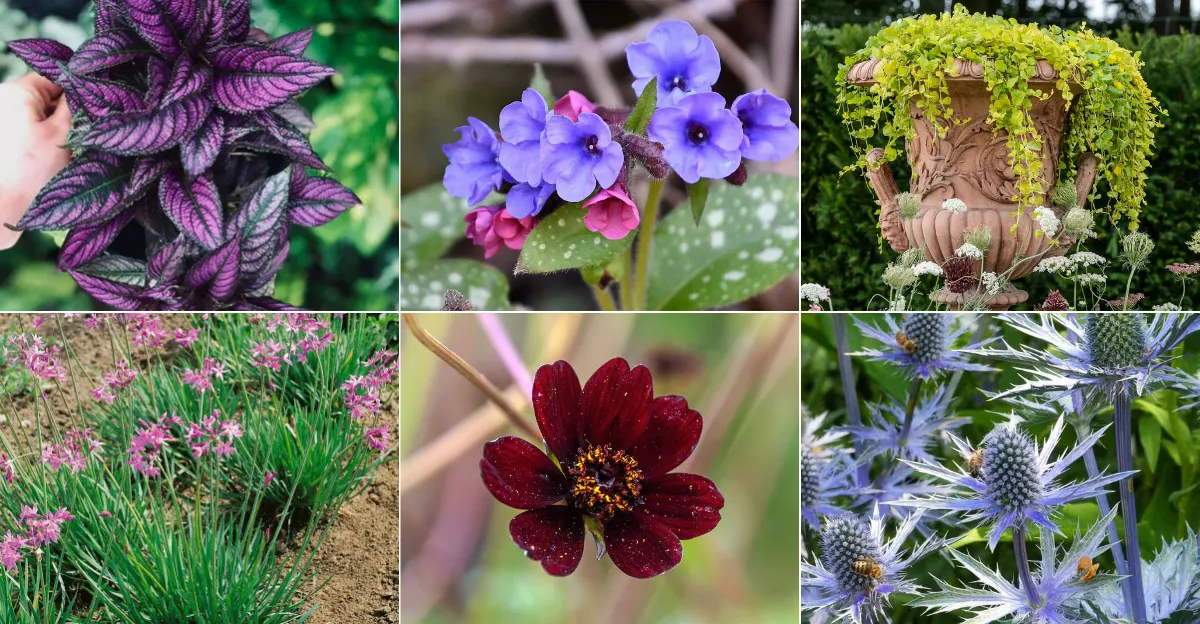 Underrated Plants That Add an Element of Surprise to Your Garden