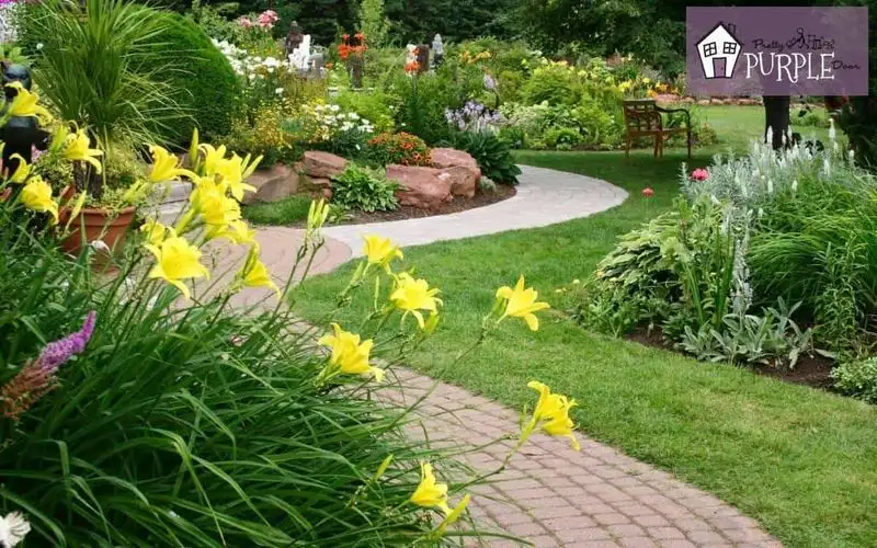 Uneven Plant Color