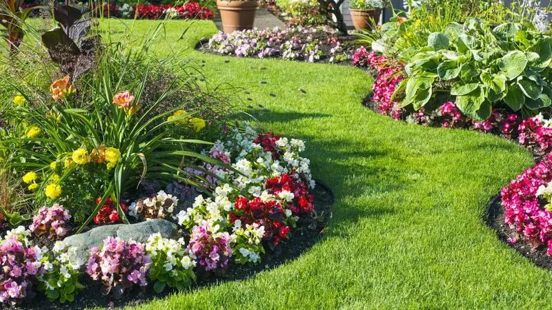 Uniform Flower Beds