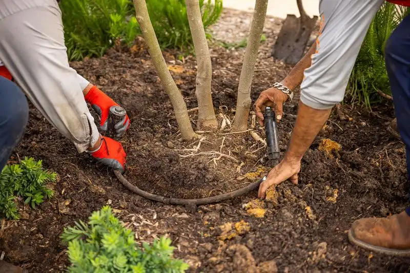 Use Drip Irrigation