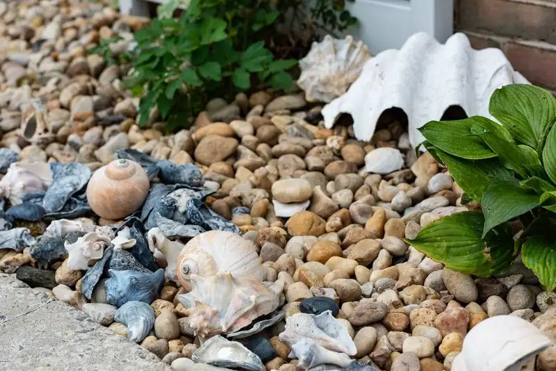 Use Oyster Shells