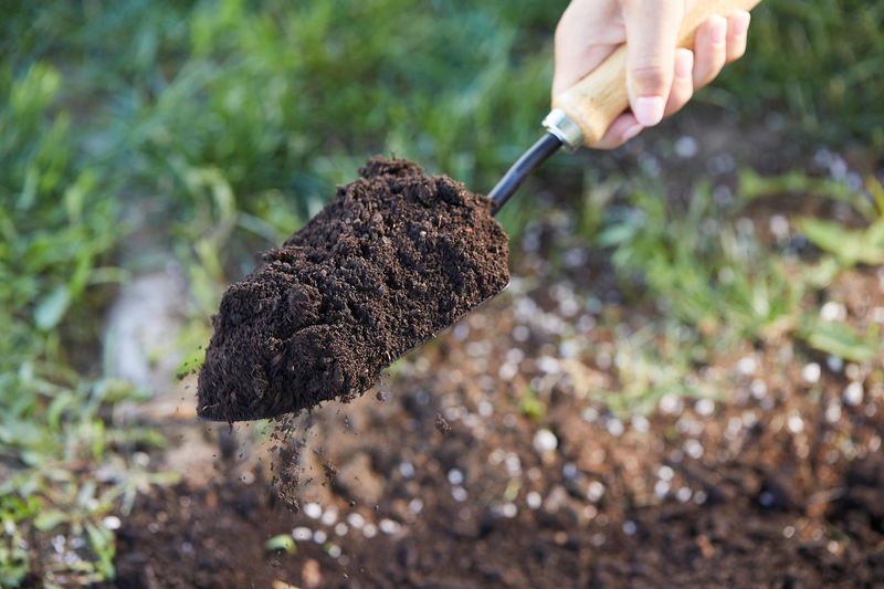 Use Well-Draining Soil