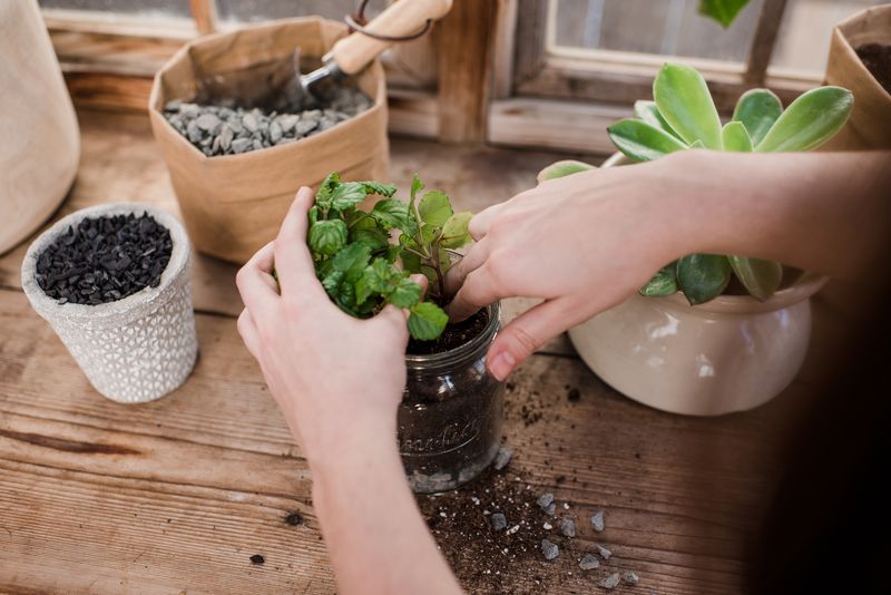 Using Pots Without Drainage