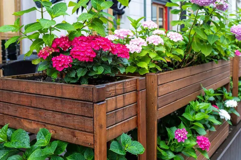 Using Raised Beds
