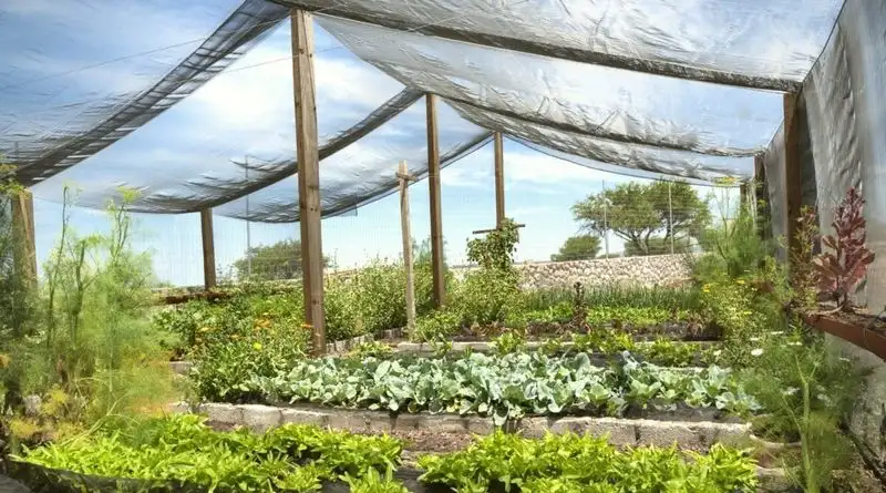 Using Shade Cloths