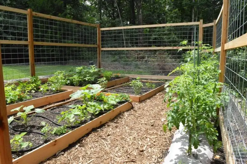 Utilize Raised Garden Beds