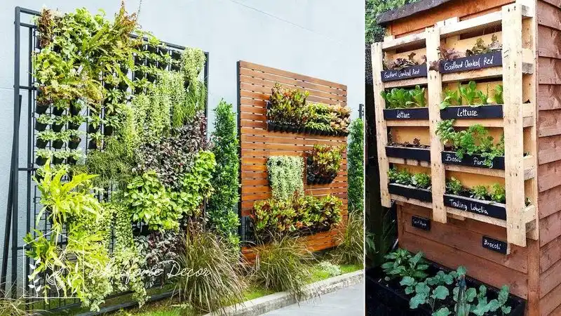Utilize Vertical Gardening Techniques