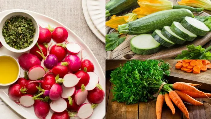 18 Veggies You’ll Wish You Planted Sooner (They’re That Easy)