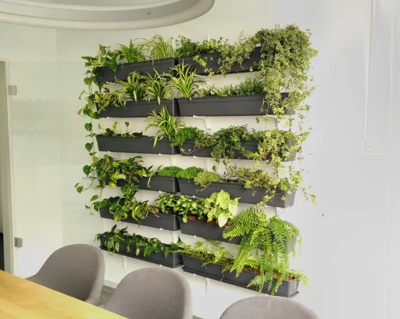 Vertical Garden Wall