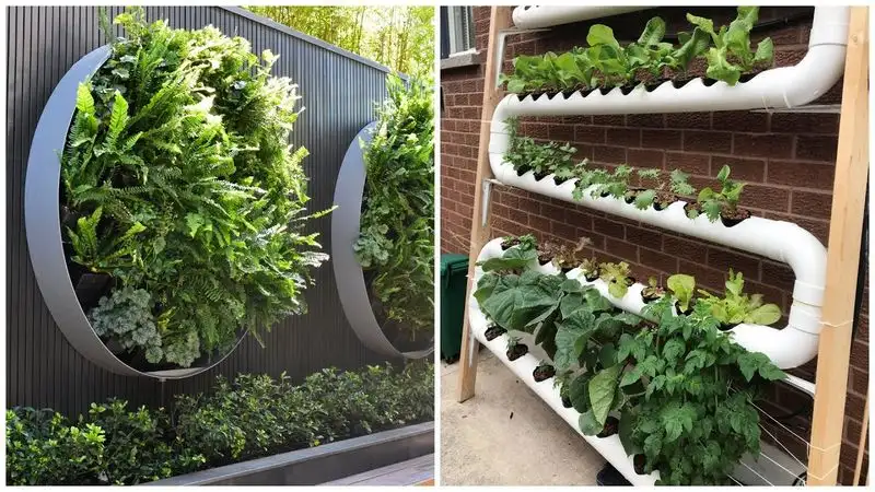 Vertical Gardening Ideas