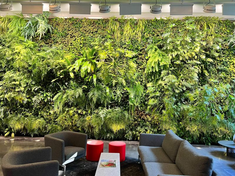 Vertical Gardens