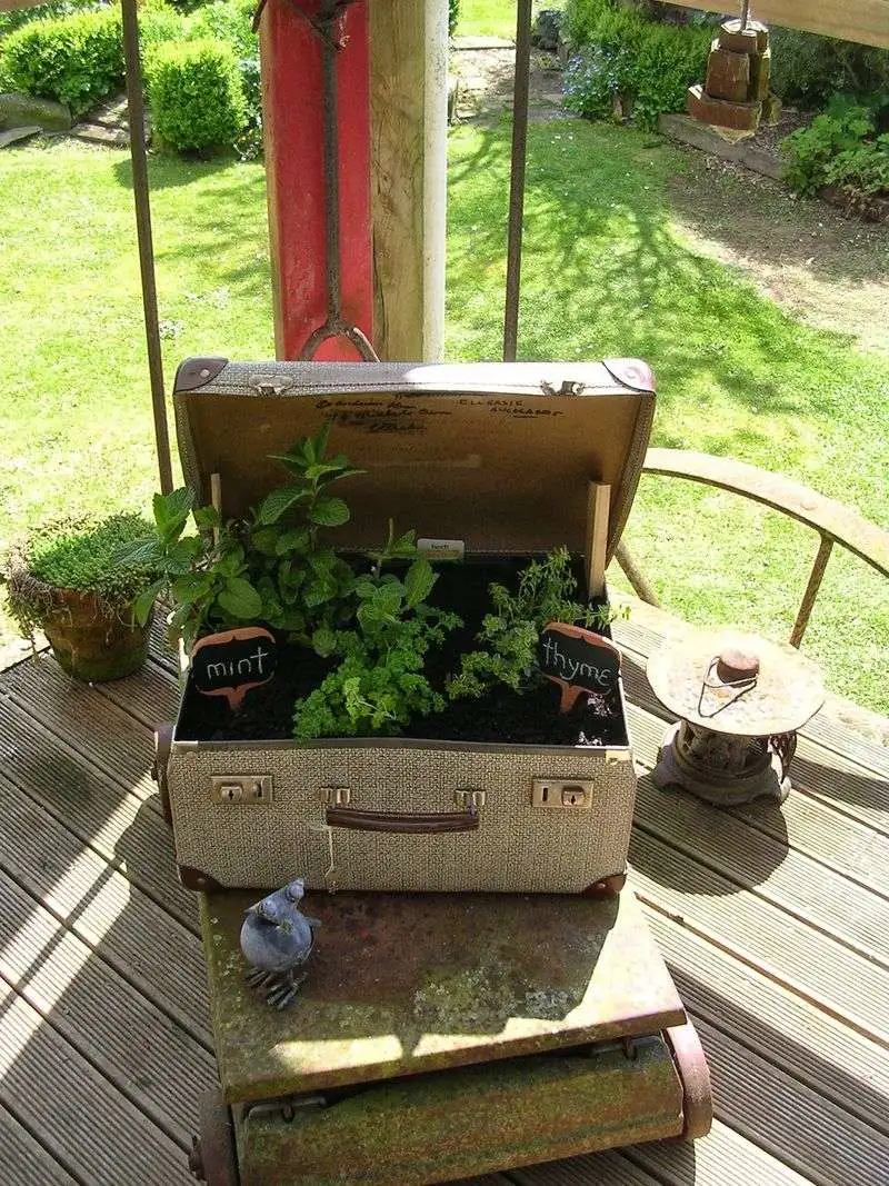 Vintage Suitcase Garden