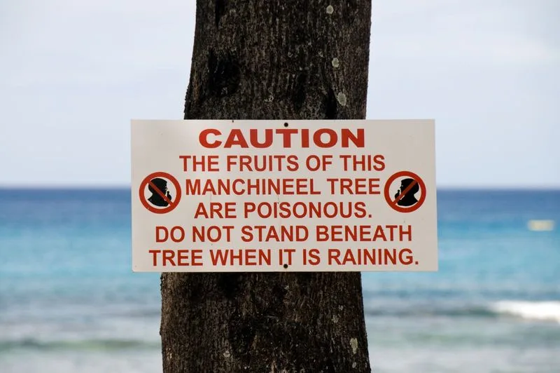 Warning Signs Are Essential