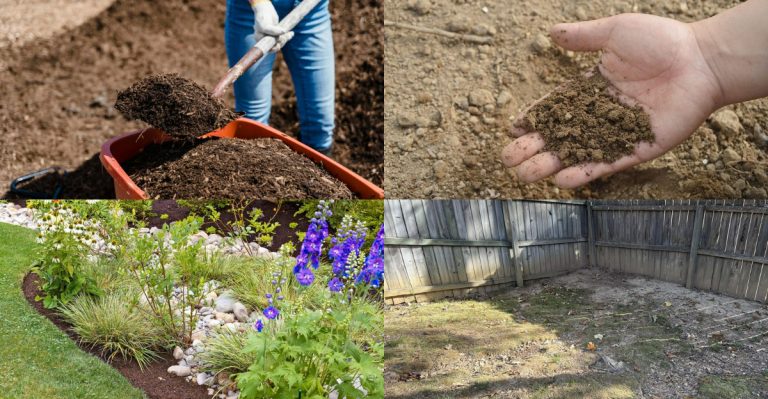 Warning Signs Your Garden Soil Needs Help