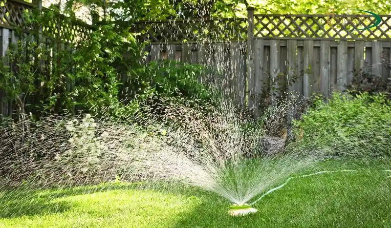 Watering Techniques