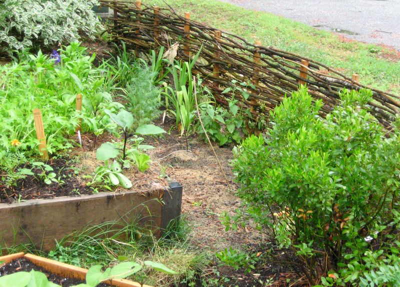 Wattle Fencing