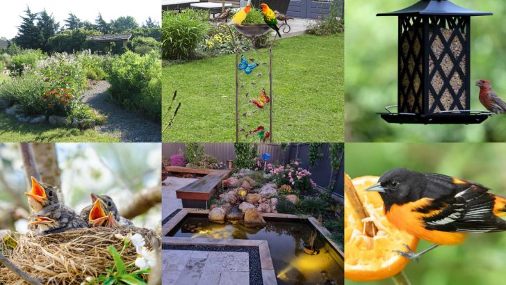 21 Ways to Create the Ultimate Backyard Bird Sanctuary