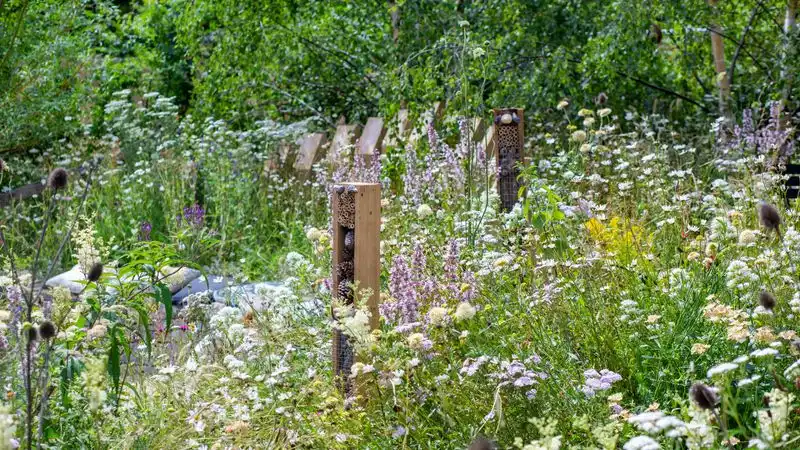 Wildlife-Friendly Features
