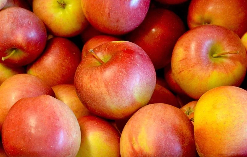 Winesap