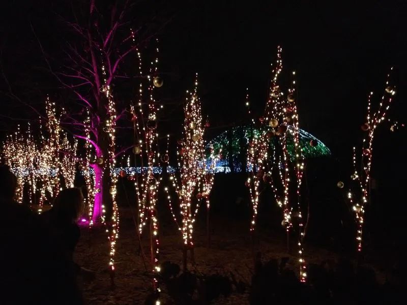 Winter Garden Glow