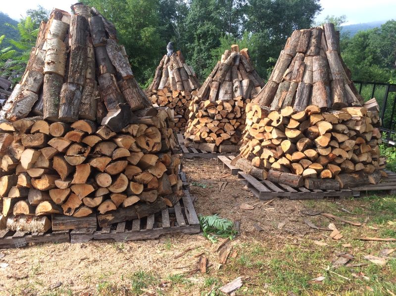 Wood Piles