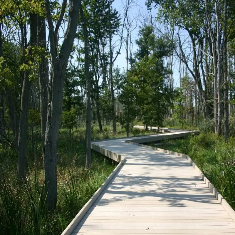 Wooden Boardwalk