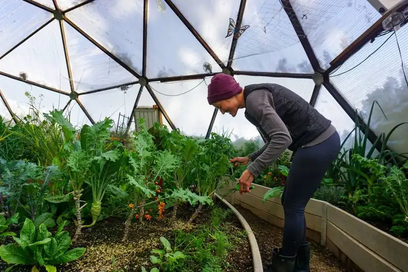 Year-Round Gardening