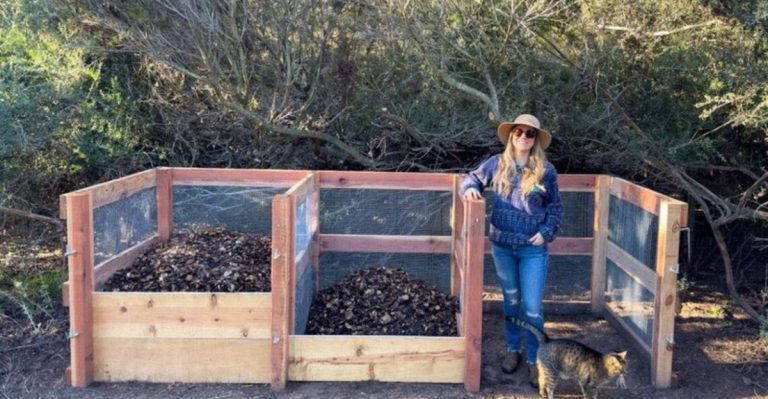 Grow Your Garden With These 23 Budget-Friendly Ideas