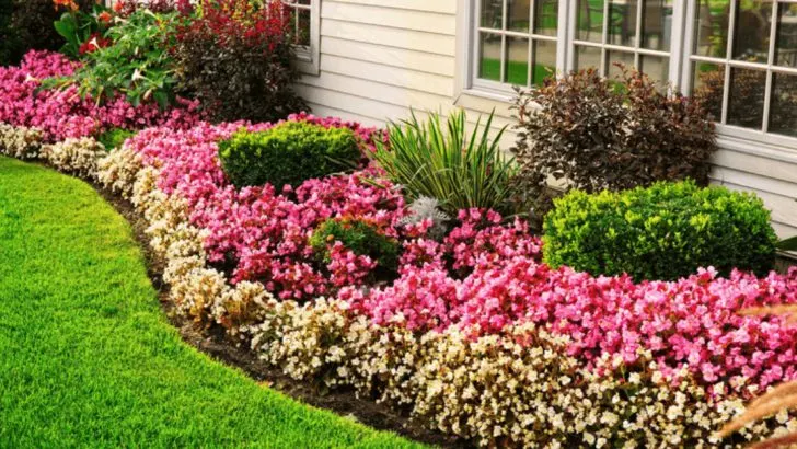 How to Design a Layered Garden – 16 Pro Tips for Stunning Results!