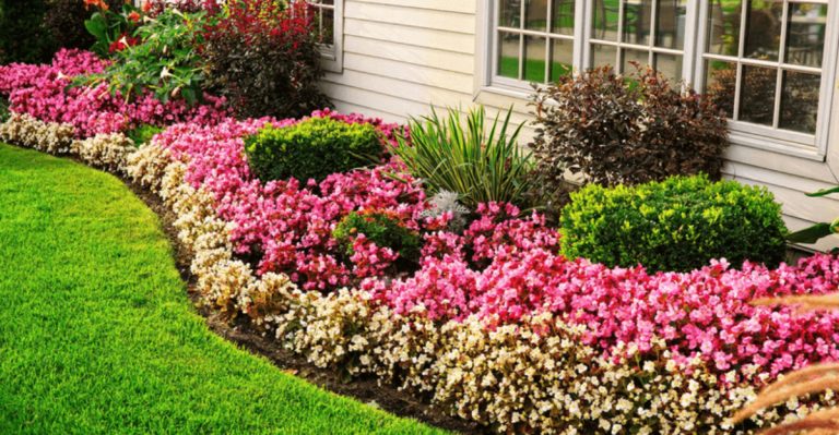 How to Design a Layered Garden – 16 Pro Tips for Stunning Results!