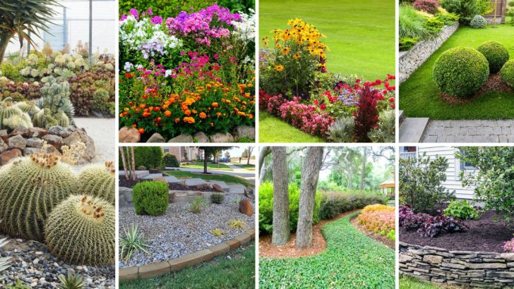 Less Work, More Beauty – 27 Low-Maintenance Front Yard Ideas You’ll Love