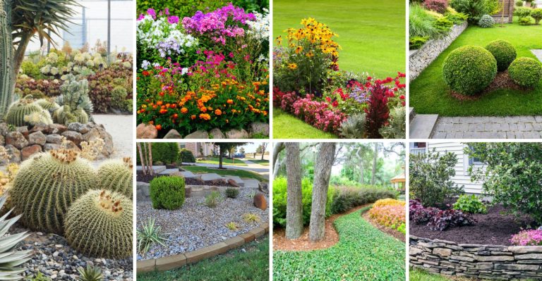 Less Work, More Beauty – 27 Low-Maintenance Front Yard Ideas You’ll Love