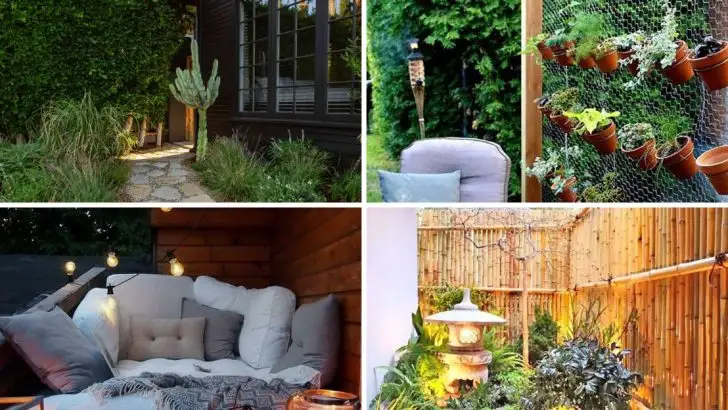 Maximize Your Side Yard: 19 Simple Ideas to Make It Beautiful