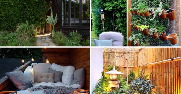 Maximize Your Side Yard: 19 Simple Ideas to Make It Beautiful