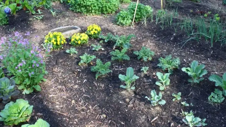 No-Till Gardening in Spring: What Actually Needs to Be Done