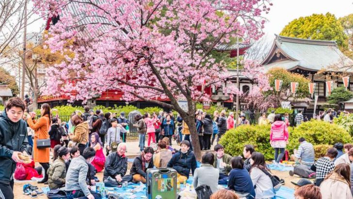 The History of Giving Flowers on Women’s Day: Traditions from Around the World