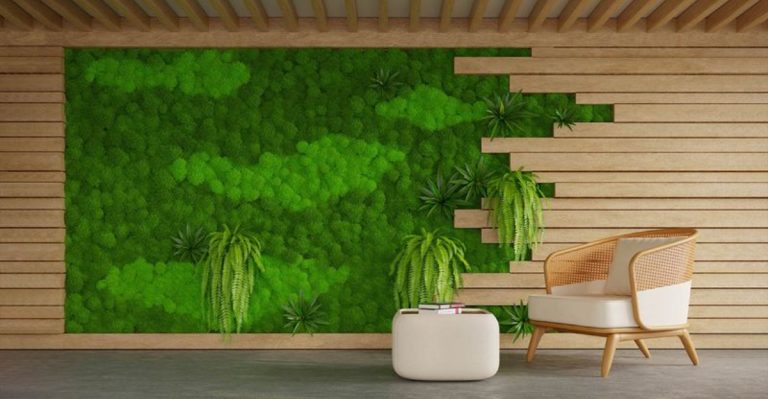 The Secret Life of Moss: 15 Creative Uses in Your Garden Design