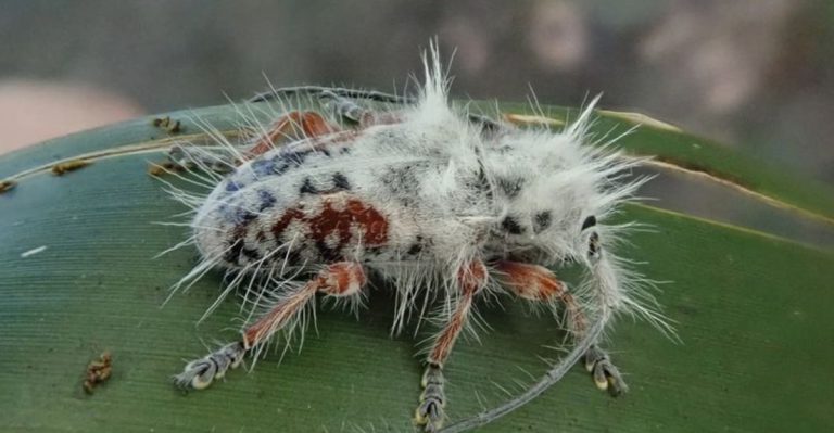 The Sneaky April Pests Everyone Misses (And How to Stop Them Early)