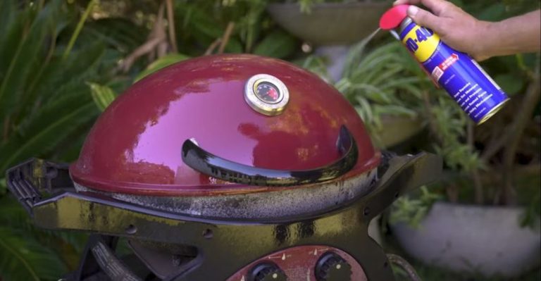 WD-40 in the Garden? 18 Smart Uses You’ve Never Thought Of