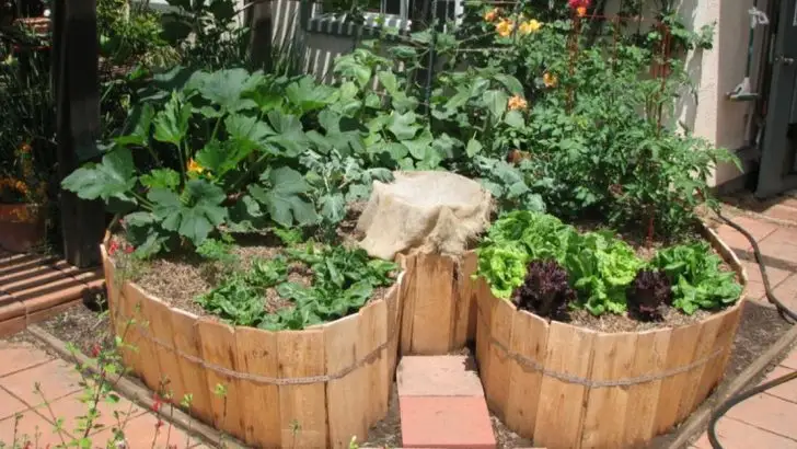 What Is a Keyhole Garden? 17 Amazing Benefits You Need to Know