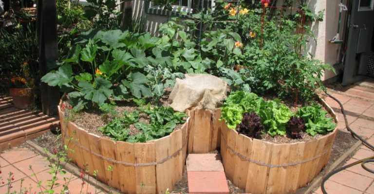 What Is a Keyhole Garden? 17 Amazing Benefits You Need to Know