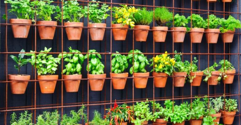 10 Reasons You Don’t Need a Backyard to Be a Great Gardener