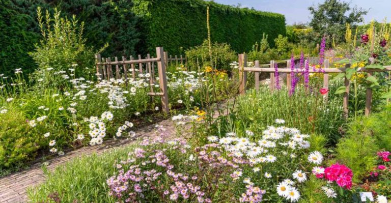 10 Steps to Create a Thriving Meadow Garden in Your Backyard